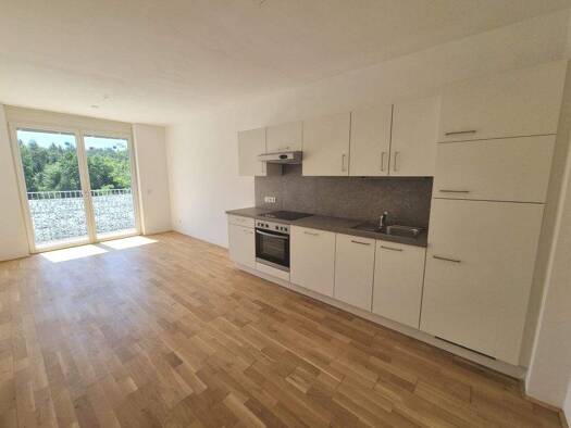 Wohnung zum Kauf 215.000 € 2 Zimmer 45,2 m² Ries Graz 8047