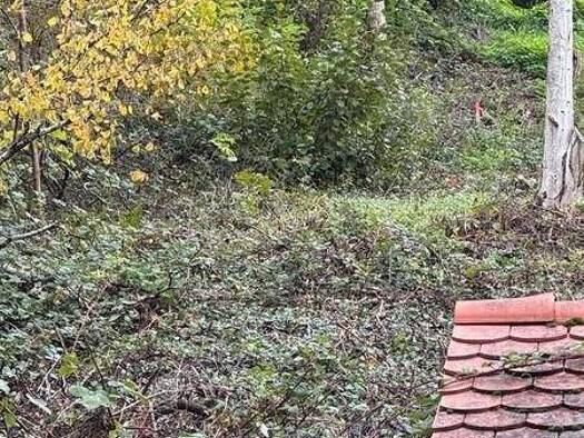 Grundstück zum Kauf 248.000 € 621 m² Grundstück Leinsweiler 76829