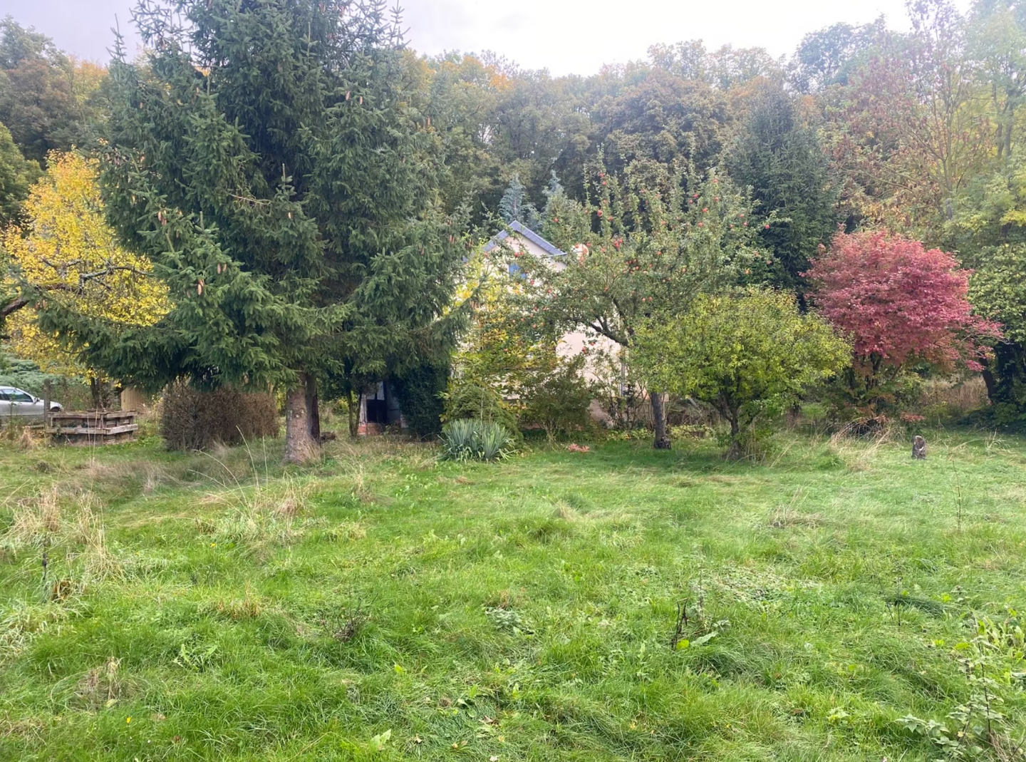 Immobilie in Kelbra (Kyffhäuser) - Freizeitgrundstück mit massivem Gartenhaus zu verkaufen - Bild 1