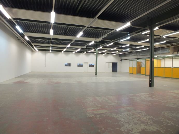 Lagerhalle zur Miete 6.900 € 1.550 m²<br/>Lagerfläche Gottmadingen Gottmadingen 78244