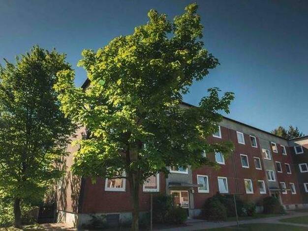Wohnung zur Miete 679 € 4,5 Zimmer 80,6 m² 2. Geschoss frei ab 01.02.2026 Biesdorfer Str. 6 Geesthacht 21502