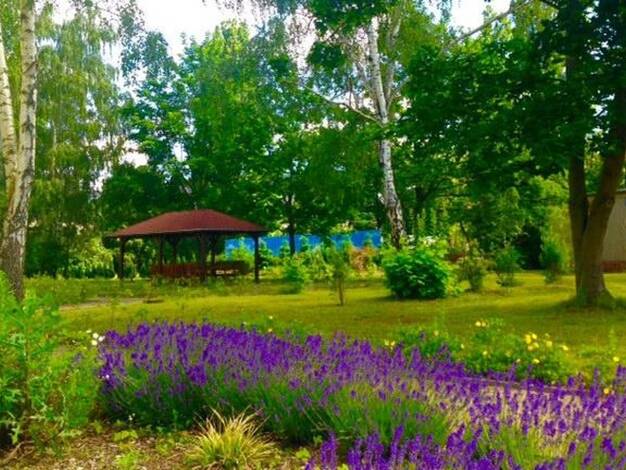 Studio zur Miete 330 € 1 Zimmer 23 m² 1. Geschoss Ostbahnhofstr. 20A Eilenburg 04838