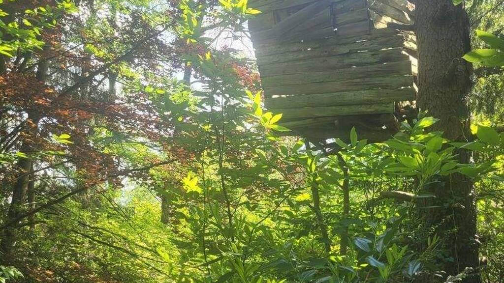 Grundstück zum Kauf 130.000 € 667 m² Grundstück Trippstadt 67705