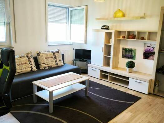 Wohnung zur Miete auf Zeit 895 € 1 Zimmer 32 m² frei ab 01.10.2026 Kasernenviertel Regensburg 93053