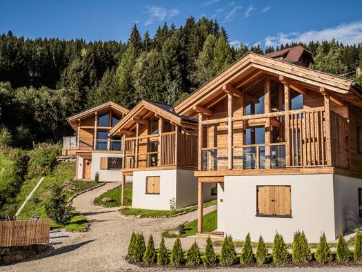 Haus zum Kauf 330.000 € 3 Zimmer 72 m² 350 m² Grundstück Wolfsberg 9431