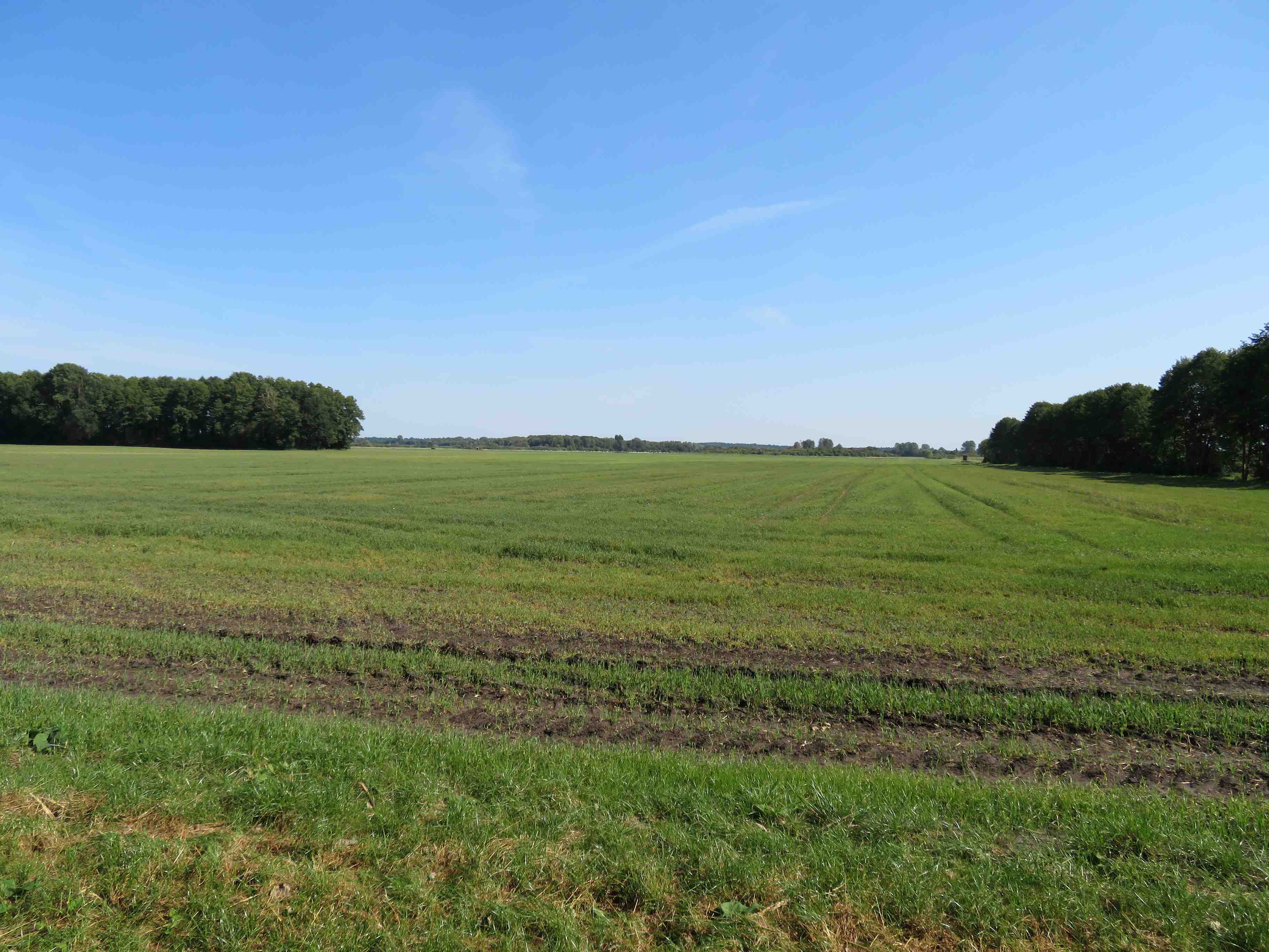 Land-/Forstwirtschaft zum Kauf 400.000 € 211.842 m²<br/>Fläche Glienick Zossen 15806