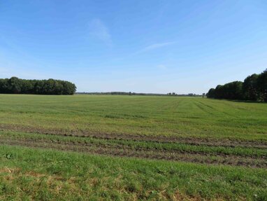 Land-/Forstwirtschaft zum Kauf 400.000 € 211.842 m² Glienick Zossen 15806