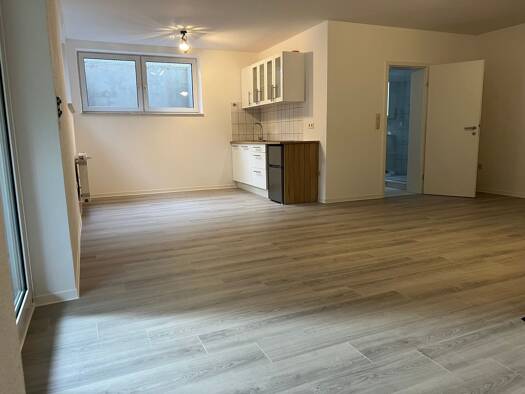 Wohnung zur Miete 420 € 1 Zimmer 46 m² Geschoss -1/3 frei ab sofort Aussiger Straße Zellhausen Mainhausen 63533