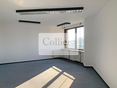 Büro-/Praxisfläche zur Miete 13 € 510 m² Bürofläche teilbar ab 510 m² Himpfelshof Nürnberg 90429