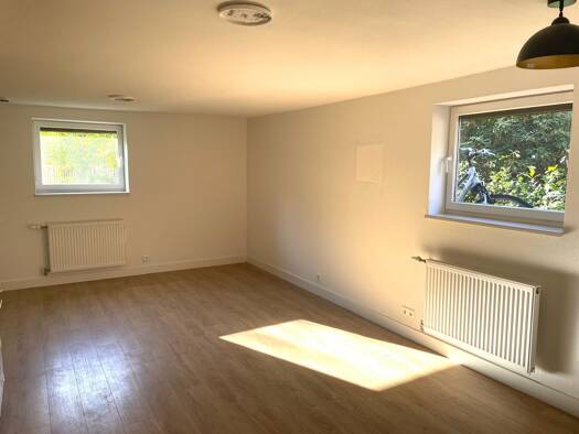 Wohnung zur Miete 450 € 1 Zimmer 29 m² frei ab sofort Reichenbach Lahr/Schwarzwald 77933