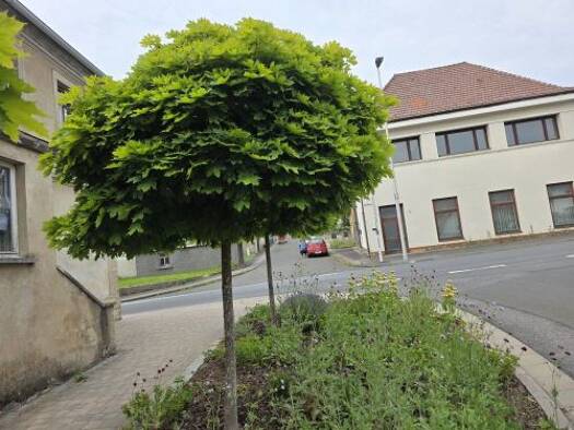 Einfamilienhaus zum Kauf 165.000 € 12 Zimmer 341 m² 278 m² Grundstück Ermershausen , Unterfr 96126