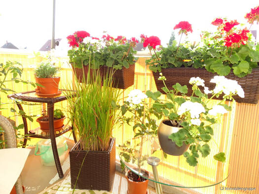 Wohnung zum Kauf 147.000 € 3 Zimmer 69 m² frei ab 15.03.2026 Coswig 01640