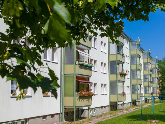 Wohnung zur Miete 319 € 2 Zimmer 46 m² EG Franz-Kögler-Ring 60 Freiberg 09599