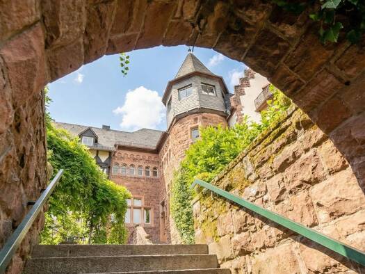 Villa zum Kauf 695.000 € 6 Zimmer 580 m² 2.180 m² Grundstück Neckarsteinach Neckarsteinach 69239