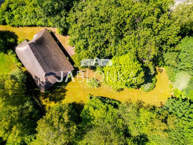Einfamilienhaus zum Kauf provisionsfrei 378.000 € 6 Zimmer 194 m² 2.530 m² Grundstück Roseburg Roseburg 21514