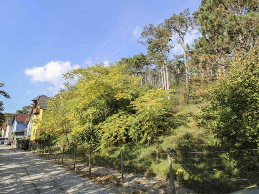 Grundstück zum Kauf 149.000 € 639 m² Grundstück Berndorf 2560