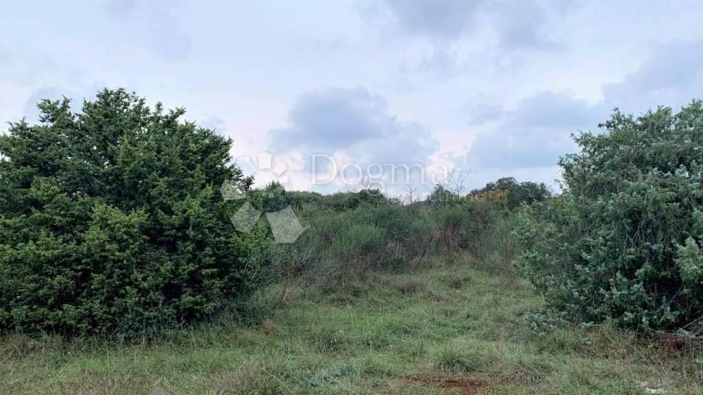 Land-/Forstwirtschaft zum Kauf 140.000 € Veli Vrh - Industrijska zona