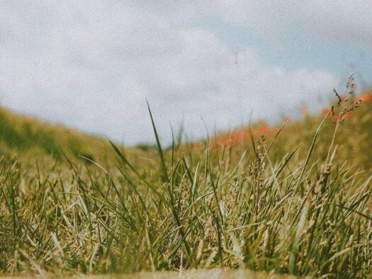 Grundstück zum Kauf 899.000 € 908 m² Grundstück Kalbach Frankfurt am Main 60437