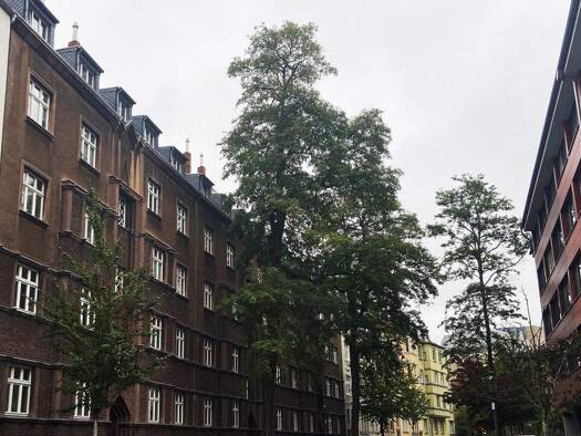 Wohnung zum Kauf 680.000 € 4 Zimmer 107 m² 3. Geschoss Derendorf Düsseldorf 40476