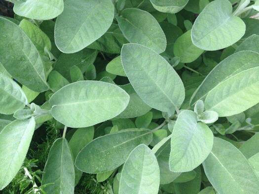 Grundstück zum Kauf 345.000 € 270 m² Grundstück Olching 82140