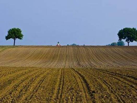 Land-/Forstwirtschaft zur Versteigerung 550.000 € 55.000 m² Buch Buch 89290