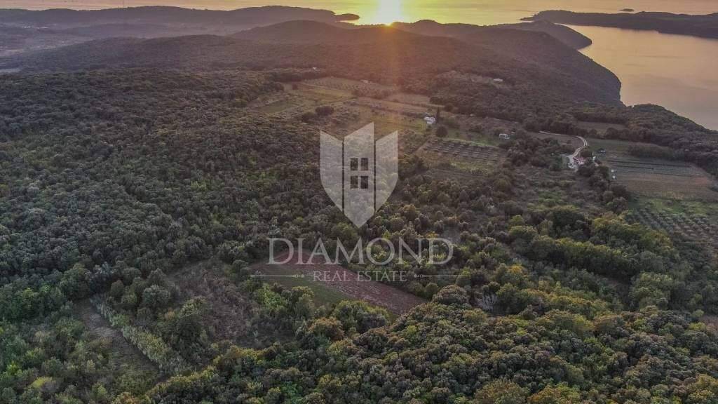 Land-/Forstwirtschaft zum Kauf 314.000 € Rovinj Rovinj