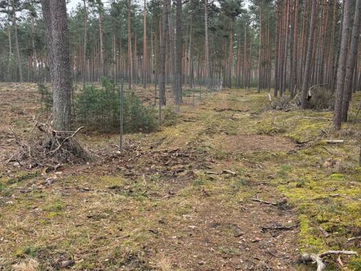 Land-/Forstwirtschaft zum Kauf 495.284 € 275.158 m² Grundstück Gartow Gartow 29471