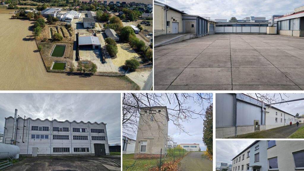 Grundstück zur Miete provisionsfrei 32.900 m² Grundstück Mutzschen Grimma 04688