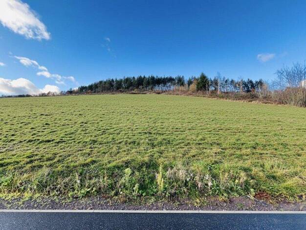 Grundstück zum Kauf 115.000 € 933 m² Grundstück Traben Traben-Trarbach 56841