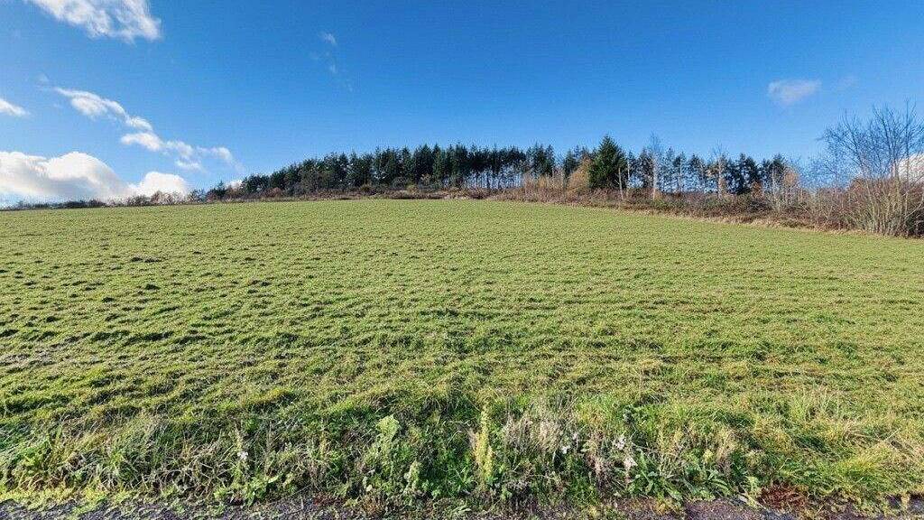 Grundstück zum Kauf 115.000 € 933 m² Grundstück Traben Traben-Trarbach 56841