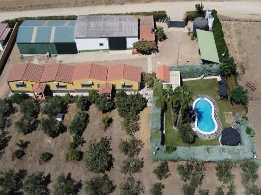 Haus zum Kauf 310.000 € 1 Zimmer 10.228 m² CALLE LA GAZPACHERA POLIGONO 11 PARCELA 172 172 Valverde de Leganés 06130