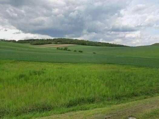 Grundstück zum Kauf 60.000 € 530 m² Grundstück Ernstbrunn 2115