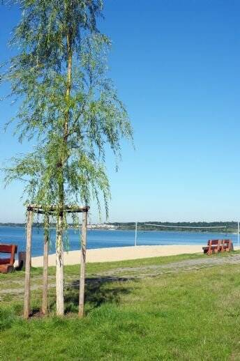 Property thumbnail 28