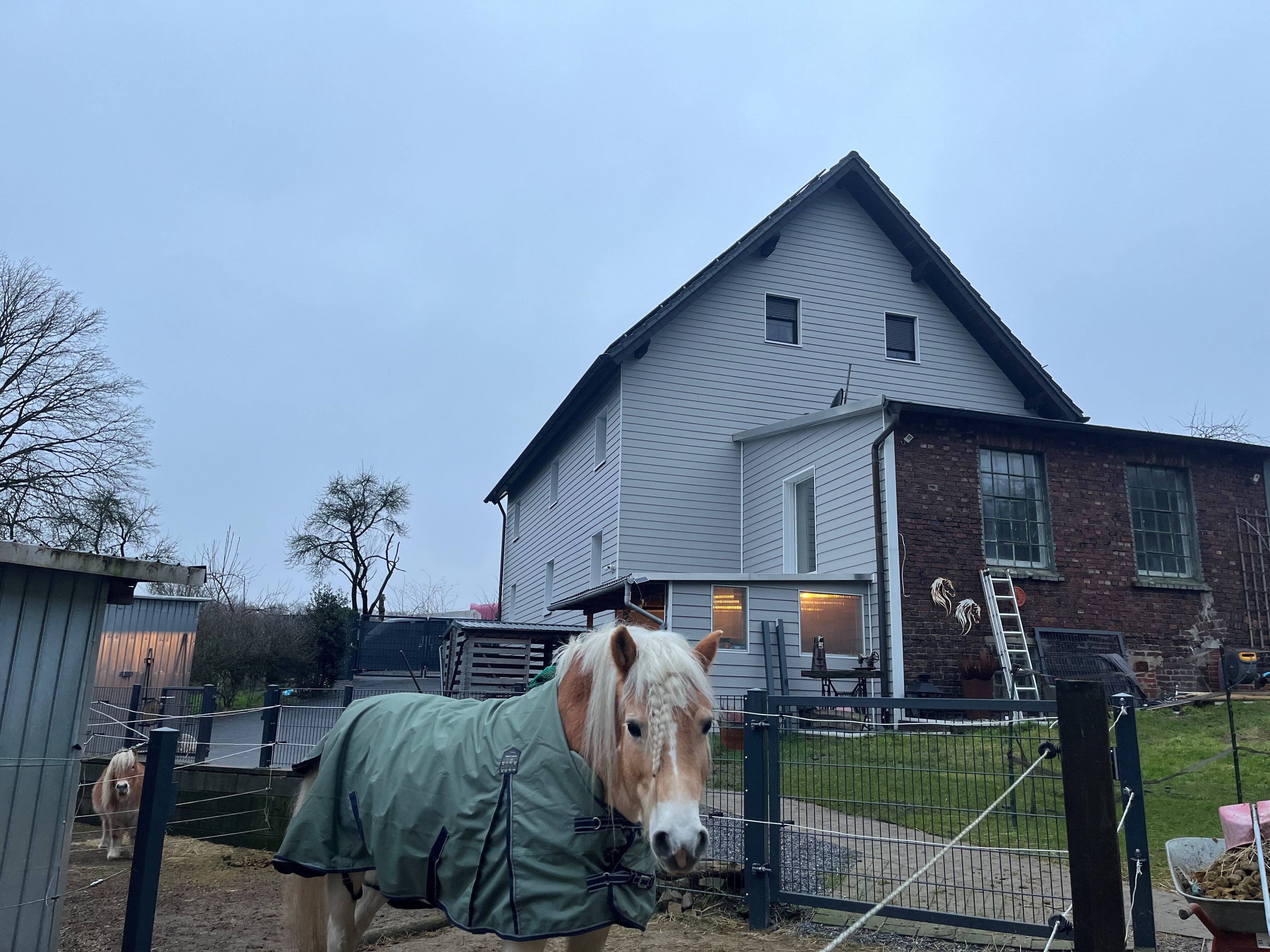 Mehrfamilienhaus zum Kauf 9 Zimmer 280 m²<br/>Wohnfläche 15.130 m²<br/>Grundstück Nächstebreck - Ost Wuppertal 42279