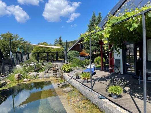 Einfamilienhaus zum Kauf 495.000 € 7 Zimmer 220,1 m² 621 m² Grundstück Tannenberg Tannenberg 09468