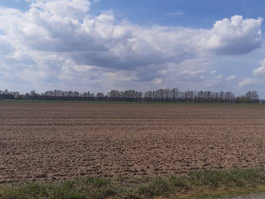 Land-/Forstwirtschaft zum Kauf 695.000 € 639.308 m² Grundstück Trebitz Brück 14822
