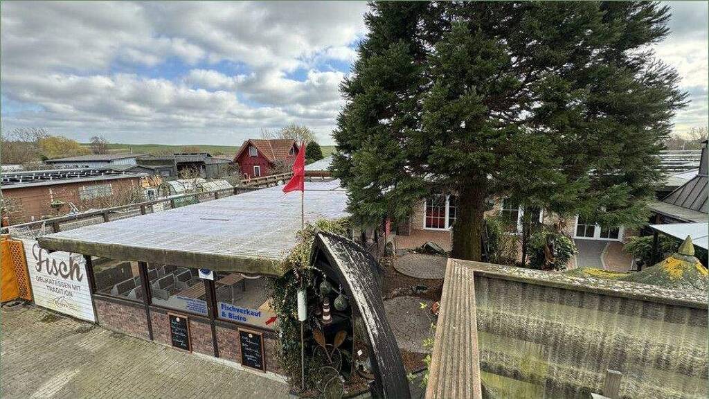 Haus zum Kauf 590.000 € 100 m² 5.095 m² Grundstück Dorfstraße 38 Prora Glowe - Ortsteil Polchow 18609