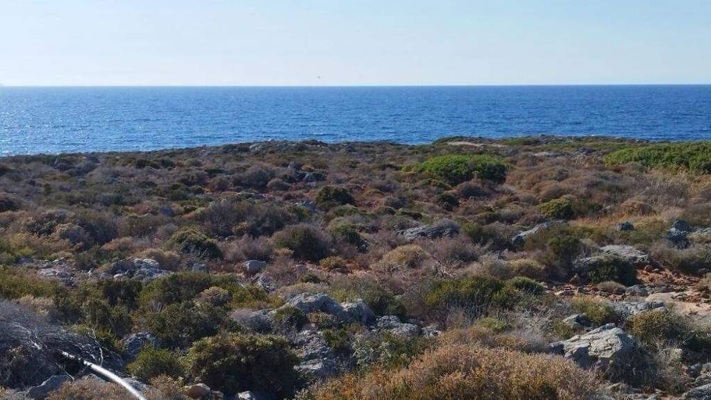 Grundstück zum Kauf 1.800.000 € 12.229 m² Grundstück Kreta Stavros 731 00