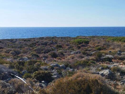 Grundstück zum Kauf 1.800.000 € 12.229 m² Grundstück Kreta Municipality of Chania 731 00