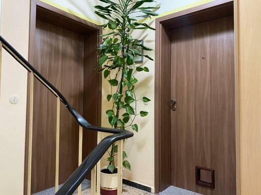 Mehrfamilienhaus zum Kauf 799.000 € 8 Zimmer 248 m² 517 m² Grundstück Pattensen Pattensen 30982