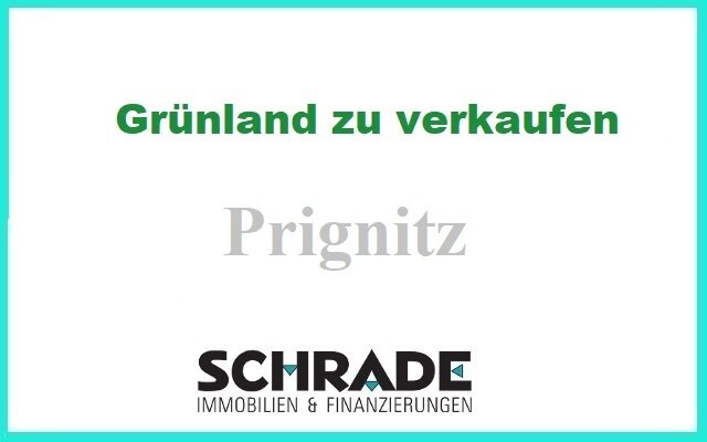 Land-/Forstwirtschaft zum Kauf 209.000 € 197.178 m²<br/>Grundstück Hinzdorf Wittenberge 19322