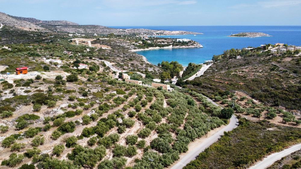 Grundstück zum Kauf 1.000.000 € 11.872 m²<br/>Grundstück Kreta Loutraki Akrotiri 731 00