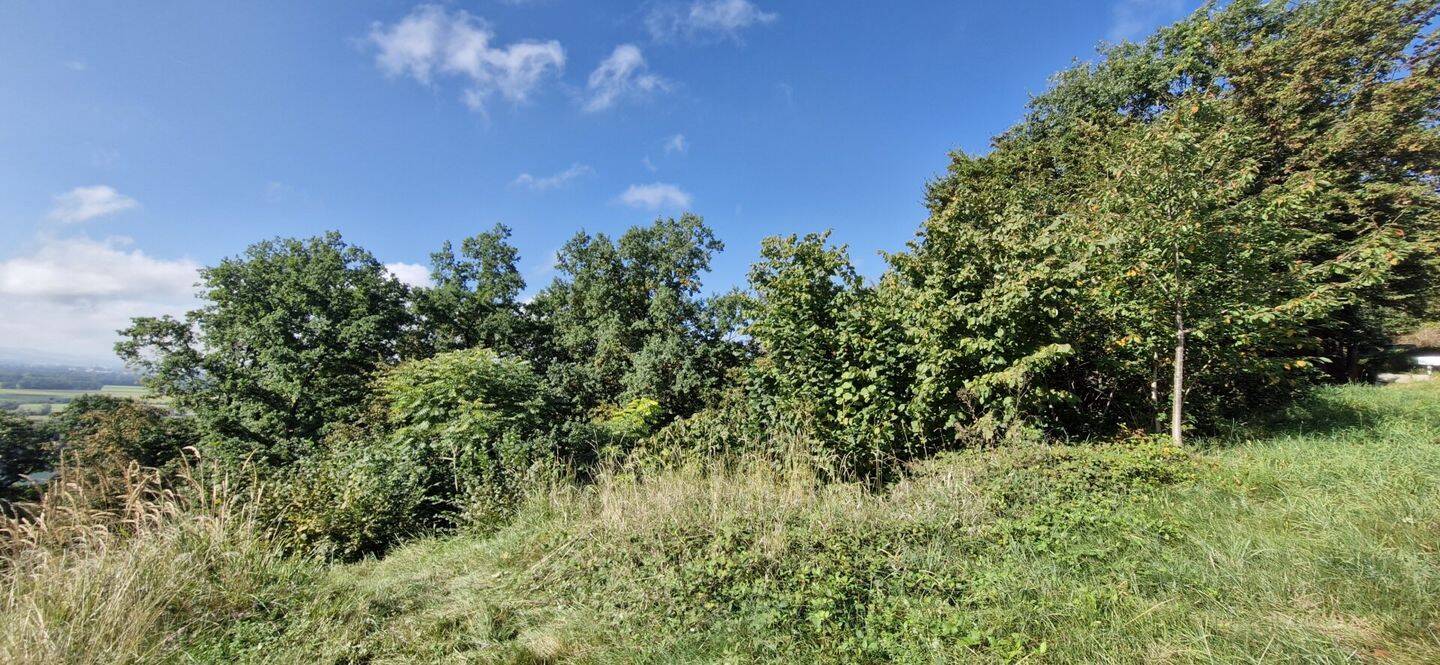 Grundstück zum Kauf - Ansicht 3