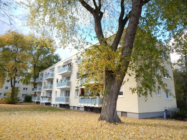 Wohnung zur Miete 645 € 2 Zimmer 58,5 m² 2. Geschoss frei ab 23.08.2025 Knauerweg 4 Schüren Dortmund 44269