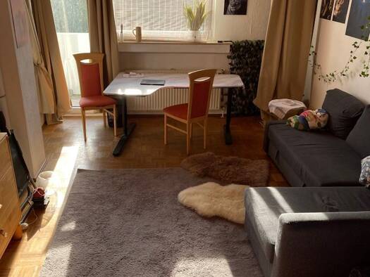 Wohnung zur Miete 550 € 1 Zimmer 31 m² 8. Geschoss frei ab 01.12.2026 Trierer Str. 57 Poppelsdorf Bonn 53115