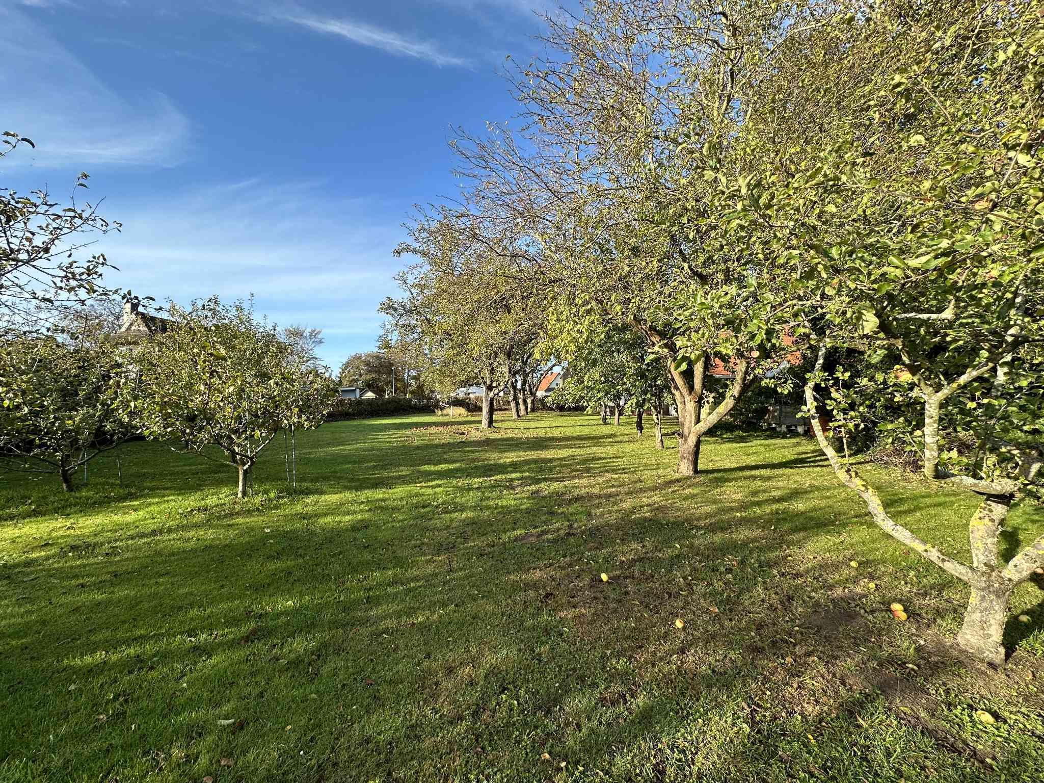 Property thumbnail 31