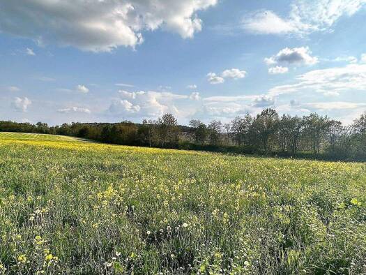 Grundstück zum Kauf provisionsfrei 82.000 € 1.072 m² Grundstück Oelsnitzer Straße Theuma 08541
