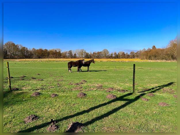 Bauernhaus zum Kauf 939.000 € 9 Zimmer 426,3 m² 23.563 m² Grundstück Suderwick Bocholt 46399