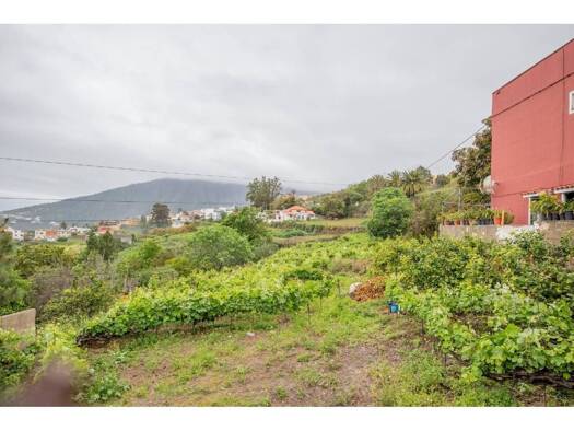 Acker-/Waldstück zum Kauf 45.000 € Calle Tizón S S/N La Orotava 38300