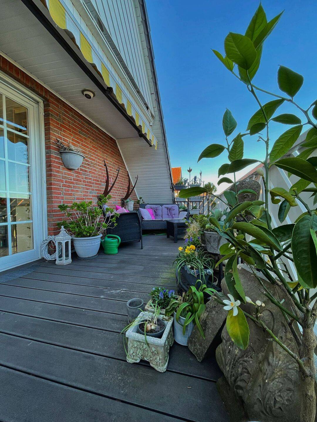 Property thumbnail 18